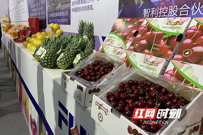 周末果品會(huì) 繽紛水果盛宴，盡享舌尖上的甜蜜時(shí)光